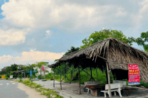 Động thái lạ của giới đầu tư địa ốc với đất nền