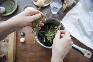 Hỗ trợ điều trị viêm họng từ những thảo dược tự nhiên ngay tại nhà