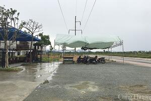 Nghệ An: Báo động tình trạng vi phạm hành lang an toàn lưới điện trước mùa mưa bão