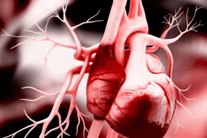 Đây là những nhóm người nhìn bên ngoài khỏe mạnh nhưng coi chừng nội tạng bị tổn hại