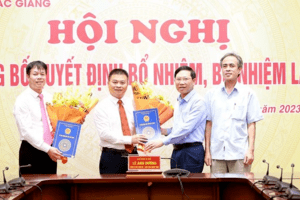 Điều động, bổ nhiệm nhiều cán bộ chủ chốt ở Bắc Giang, Đồng Nai