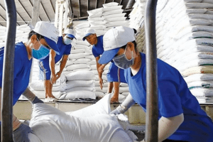 Sau loạt 'tin dữ' từ Ấn Độ, Myanmar - gạo xuất khẩu Việt Nam lập đỉnh 15 năm, giá cao nhất thế giới