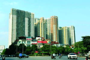 Bất động sản: Những chồi xanh hy vọng
