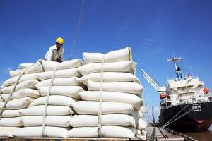 Nghịch lý giá gạo tăng nhưng doanh nghiệp xuất khẩu lo ngại thua lỗ