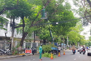 Đà Nẵng: Cắt tỉa 45.800 cây xanh phòng chống bão
