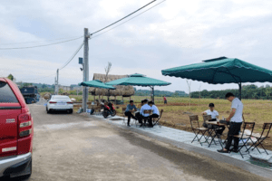 Chuyên gia dự đoán bất ngờ về thời gian phục hồi của đất nền tỉnh lân cận Tp.HCM