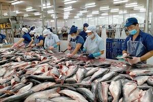 Cá tra xuất khẩu sang Hoa Kỳ tăng 41% sau 10 năm