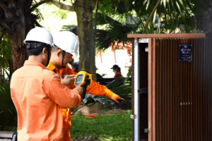 Thực hiện quyết liệt các giải pháp bảo đảm cung ứng điện