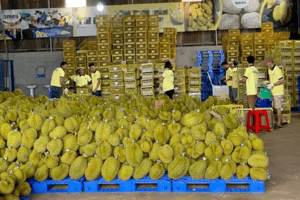 2 nhóm hàng xuất khẩu “tỷ đô” trong 8 tháng