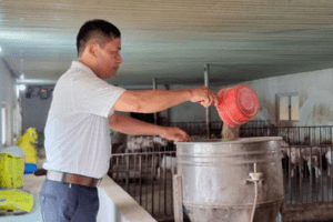Nghịch lý giá lợn hơi giảm sâu nhưng ra chợ phải mua thịt đắt gấp 3 lần