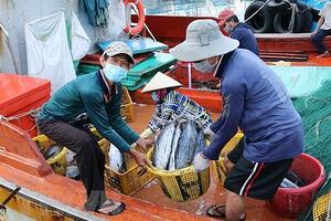 Ngày 10/10/2023, EC sang Việt Nam, kiểm tra gỡ 'thẻ vàng' IUU