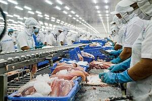 Thị trường nào trong khối thị trường CPTPP đang mua cá tra nhiều nhất của Việt Nam?