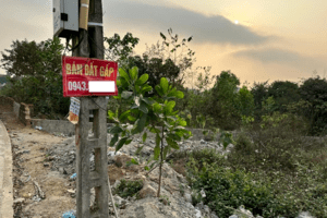 Thị trường bất động sản đã “vượt đáy”, thanh khoản đang dần sôi động trở lại