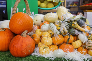 Khách lùng mua trang trí Halloween, bí ngô đủ loại cháy hàng