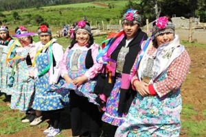 Người Mapuche - dân tộc thiểu số bản địa lớn nhất ở Chile