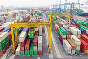 Áp lực từ chi phí lãi vay sau thương vụ nghìn tỷ Nam Hải Đình Vũ, Viconship báo lãi quý 3/2023 giảm 60%