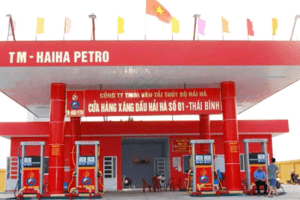 Hải Hà petro doanh thu “tỷ đô” nguồn tiền thu lớn vẫn chây ỳ nợ thuế