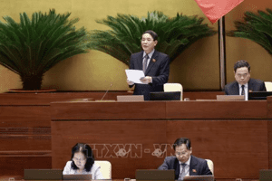 Ngày 3/11, Quốc hội dành trọn cả ngày thảo luận Luật Đất đai (sửa đổi)