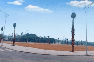 Thị trường đất nền sẽ tăng hay giảm giá khi luật mới siết quy định phân lô, bán nền?