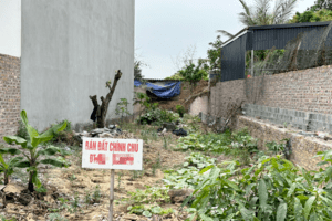 Đất nền sẽ là phân khúc phục hồi gần sau cùng