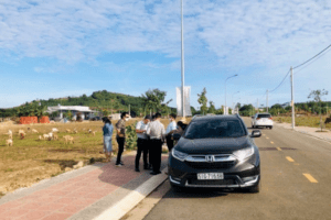 Chuyên gia “ấn định” thời gian đất nền phục hồi, bước vào chu kì tăng giá