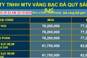 Chuyên gia phân tích nguyên nhân thúc đẩy giá vàng tăng kỷ lục
