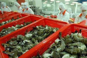 Xuất khẩu tôm năm 2023 giảm 21% so với 2022