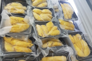 Sầu riêng đông lạnh sắp có 'visa' xuất Trung Quốc