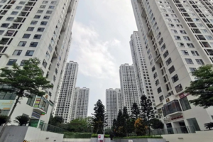 “Bão giá” chung cư, chủ nhà ngỡ ngàng vì lãi tiền tỷ