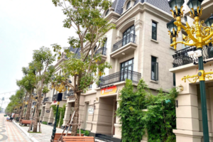 "Thị trường BĐS sẽ đảo chiều từ quý 3/2024 và khởi sắc từ quý 2/2025"