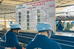 HAG có công ty con mới