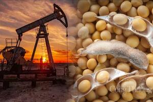 Thị trường hàng hóa ngày 4/1/2024: Sắc xanh trở lại thị trường hàng hóa nguyên liệu thế giới