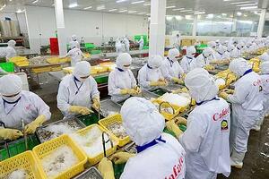 CPTPP là nhóm thị trường có tỷ trọng tăng trưởng xuất khẩu thủy sản lớn thứ 2 của Việt Nam