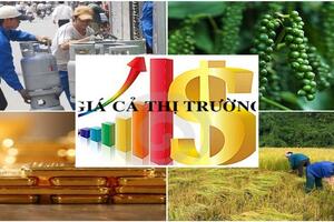 Các bộ ngành phối hợp thực hiện phân tích, dự báo giá thị trường