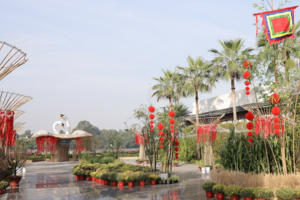 Trải nghiệm du xuân bằng tàu thủy để check-in phố Tết SwanBay