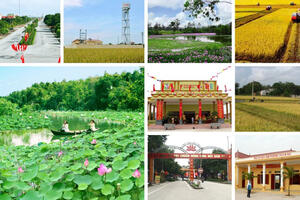 Giai đoạn 2024 - 2025, thí điểm phân cấp cho cấp huyện thực hiện các chương trình mục tiêu quốc gia