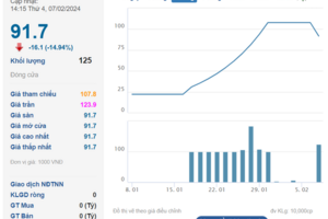 Mới lên sàn trong tháng 1,  bộ đôi doanh nghiệp có cổ phiếu tăng phi mã 400%-500% có gì đặc biệt?