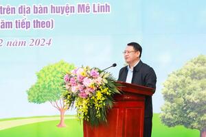 Huyện Mê Linh: Phấn đấu trồng mới 26.000 cây xanh