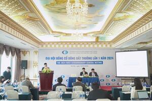Thêm một công ty chứng khoán ngoại gia nhập "game" tăng vốn 2024: Phát hành cổ phiếu tỷ lệ 1:1, phần lớn số tiền thu về dùng cho vay margin