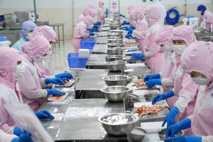 An Giang: Dư nợ tín dụng quý I/2024 ước tăng 1,45%