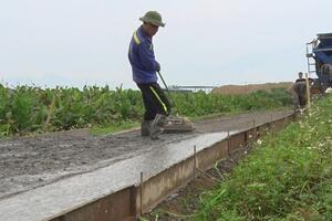 Đấu giá hàng trăm nghìn m2 đất nông nghiệp tại Ba Vì