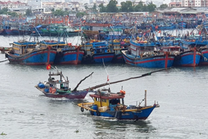 Đà Nẵng: Triển khai đến ngư dân phần mềm truy xuất nguồn gốc thuỷ sản