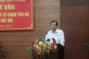 Bị chất vấn về trách nhiệm dự án chậm tiến độ, Chủ tịch Cà Mau nói ‘khó giải thích’