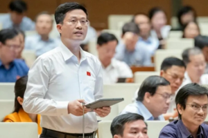 Đại biểu chất vấn Bộ trưởng Công thương: Các phiên livestream trăm tỷ "gây hoang mang" là thật hay ảo?