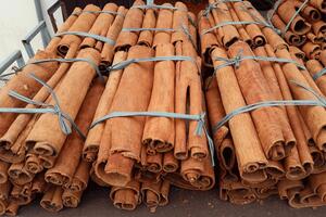 Tháng 5, điểm tên 2 thị trường tăng trưởng vượt bậc trong xuất khẩu quế
