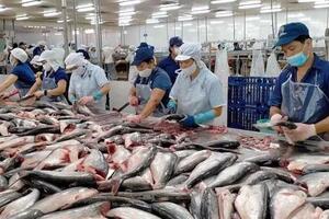 Xuất khẩu thuỷ sản tiếp đà tăng