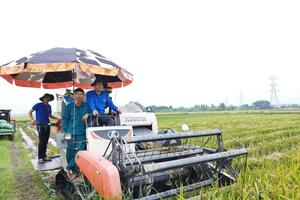 Thanh niên tình nguyện trên công trường đường dây 500 KV mạch 3