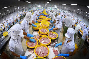 An Giang: Hướng dòng vốn tín dụng vào ngành kinh tế chủ lực của địa phương