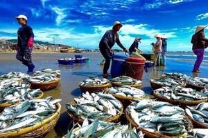 Làm sao để xuất khẩu thuỷ sản cán đích 10 tỷ USD năm 2024?