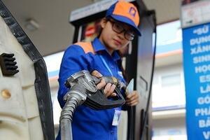 Giá xăng dầu hôm nay ngày 14/6/2024: Dầu thế giới tăng cao trước dự báo của OPEC